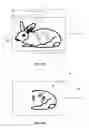 Fig. 06 - Scanning method for stitching images