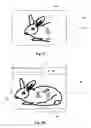 Fig. 07 - Scanning method for stitching images