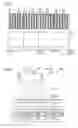 Fig. 04 - Image display
