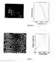Fig. 02 - Photonic bandgap materials based on silicon