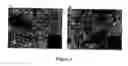 Fig. 07 - Photonic bandgap materials based on silicon
