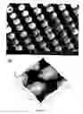 Fig. 10 - Photonic bandgap materials based on silicon