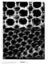 Fig. 11 - Photonic bandgap materials based on silicon