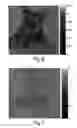Fig. 06 - Method and apparatus for generating a circularly polarized illumination beam