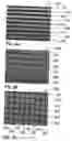 Fig. 07 - Optical security element