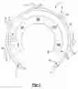 Fig. 02 - Ring pointer illumination
