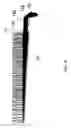 Fig. 08 - Light-emitting device and apparatus having the same