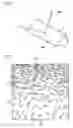 Fig. 11 - Surface light source equipment and apparatus using the same