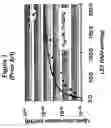 Fig. 08 - Proton and heavy ion SEU resistant SRAM