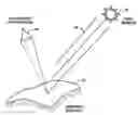 Fig. 01 - Method for detecting vibrations in a biological organism using real-time vibration imaging