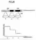 Fig. 09 - Information recording media, a method for recording/reproducing information, an apparatus for recording/reproducing information