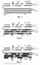 Fig. 04 - Information recording medium