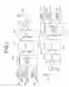 Fig. 02 - Orthogonal frequency division multiplex modem circuit