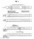 Fig. 03 - Method of transmitting broadcast message in a mobile communication system