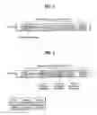 Fig. 05 - Method of transmitting broadcast message in a mobile communication system
