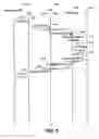 Fig. 07 - Methods and apparatus for implementing NAT traversal in mobile IP