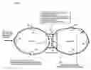 Fig. 02 - Inter-ring connection method and device