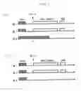 Fig. 03 - Wireless packet communication method and wireless packet communication apparatus