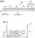 Fig. 08 - Data link layer protocol unit, mobile radio device and method for mapping data which are to be transmitted using a mobile radio device from at least one logical channel, and control data which are to be transmitted, onto at least one transport channel