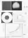 Fig. 09 - Optical system for providing short laser-pulses