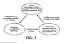 Fig. 02 - Methods and devices for quantitative analysis of x-ray images