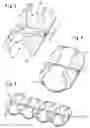Fig. 03 - Linear ball bearing