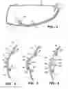 Fig. 03 - Outside rear view mirror