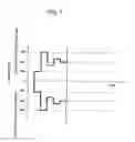 Fig. 08 - Image forming apparatus