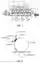 Fig. 02 - Image forming apparatus equipped with developing unit to make developing and simultaneous cleaning and image forming method