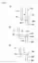 Fig. 09 - Image forming apparatus