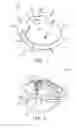 Fig. 05 - Apparatus and method for housing a restraint device