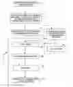 Fig. 01 - Special order book production system
