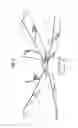 Fig. 02 - Ceiling fan blade