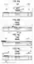 Fig. 07 - Micro plate treating device and micro plate carrying method