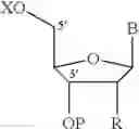 Fig. 22 - Very large scale immobilized polymer synthesis