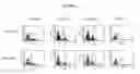 Fig. 05 - Cytotoxicity mediation of cells evidencing surface expression of CD63