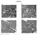 Fig. 16 - Cytotoxicity mediation of cells evidencing surface expression of CD63
