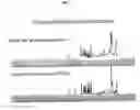 Fig. 02 - Metabonomics homogeneity analysis