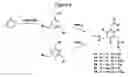 Fig. 07 - Targeting chelants and chelates