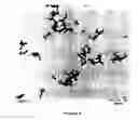Fig. 03 - Surface-modified zinc oxides