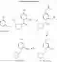 Fig. 10 - Novel resorcinol derivatives for skin