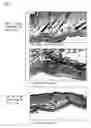 Fig. 04 - Angiogenesis inducer