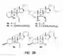 Fig. 05 - Detection of cholesterol ozonation products
