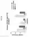 Fig. 27 - Hematopoietic cell selectin ligand polypeptides and methods of use thereof