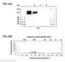Fig. 34 - Hematopoietic cell selectin ligand polypeptides and methods of use thereof
