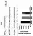 Fig. 02 - Methods and compositions for treatment, prevention, suppression, and/or delaying the onset of type 1 diabetes