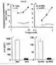 Fig. 03 - Methods and compositions for treatment, prevention, suppression, and/or delaying the onset of type 1 diabetes