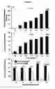 Fig. 04 - Methods and compositions for treatment, prevention, suppression, and/or delaying the onset of type 1 diabetes