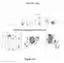 Fig. 06 - Methods and compositions for cancer treatment