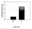 Fig. 07 - Methods and compositions for cancer treatment
